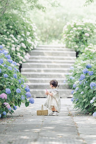 子どもたちと過ごした美しい四季