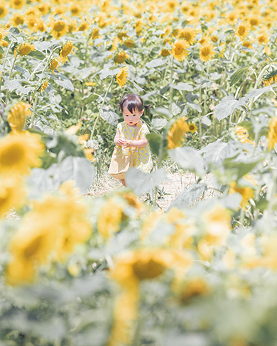 子どもたちと過ごした美しい四季