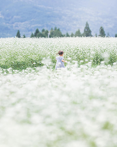 子どもたちと過ごした美しい四季