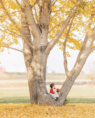 子どもたちと過ごした美しい四季