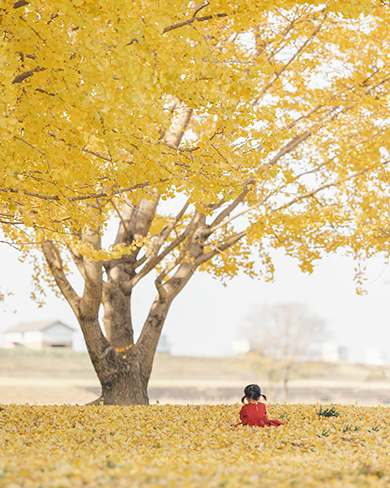 子どもたちと過ごした美しい四季