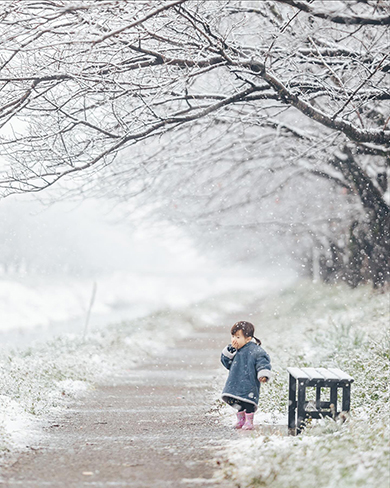 子どもたちと過ごした美しい四季