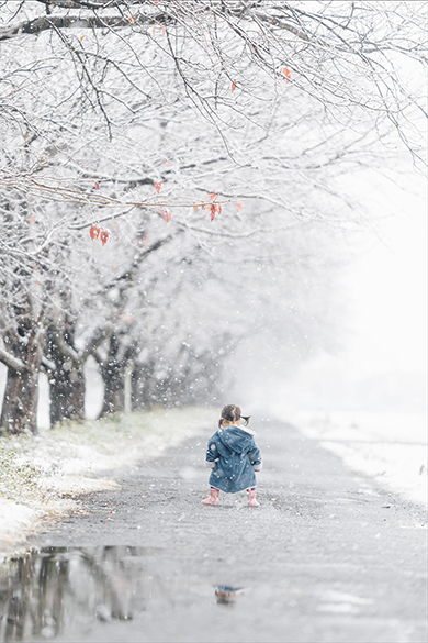 子どもたちと過ごした美しい四季