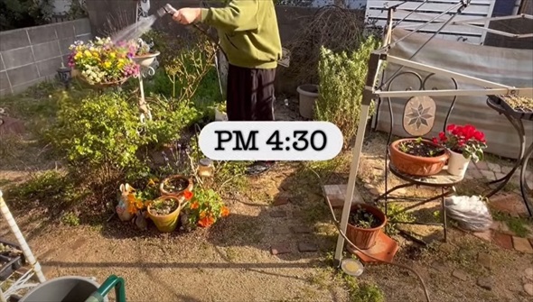 50代専業主婦の1日のルーティン