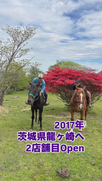 牧場でのびのびと過ごす様子