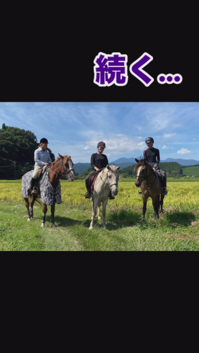 馬に乗る最近の様子