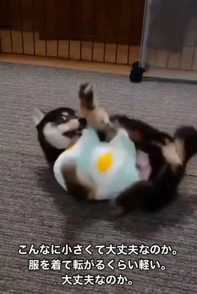 体重も軽く家族は心配していました