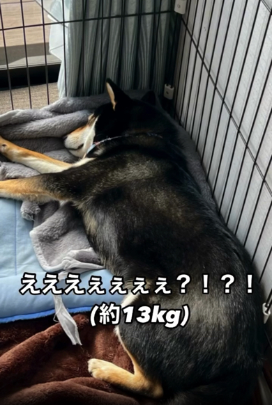 それから2年後……!?