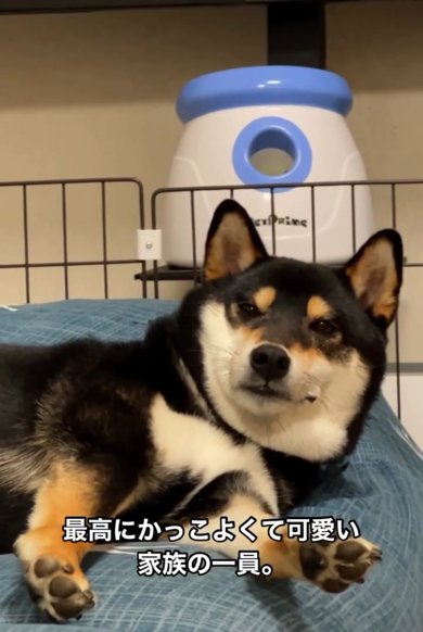 大きさなど関係なく、今は大切な家族の一員