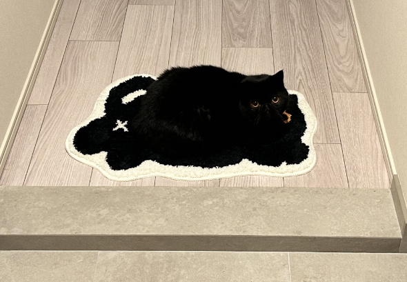 黒猫 玄関マット 同化 重なる ネコ 絵柄