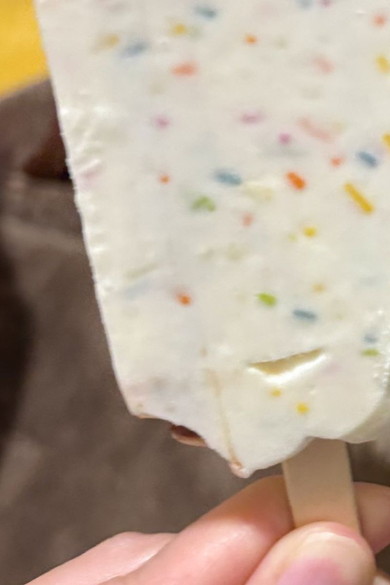 アイスとワンコの写真