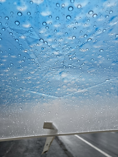 クリームソーダみたいな折り畳み傘