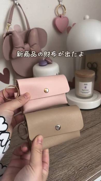 ダイソーのマルチウォレットケース