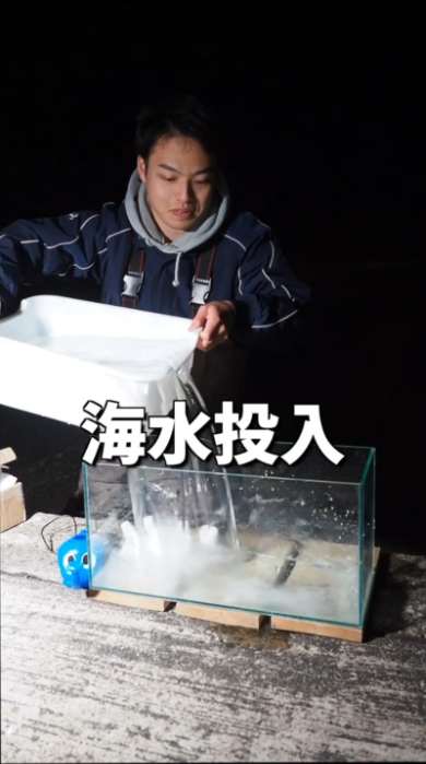 海 危険生物 ゴンズイ 捕獲 水槽 毒 アクアリウム