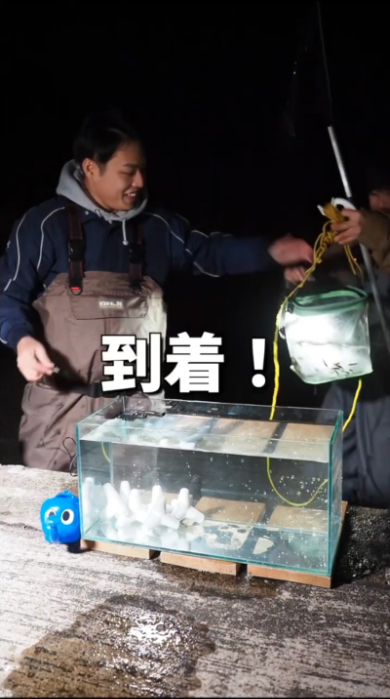 海 危険生物 ゴンズイ 捕獲 水槽 毒 アクアリウム