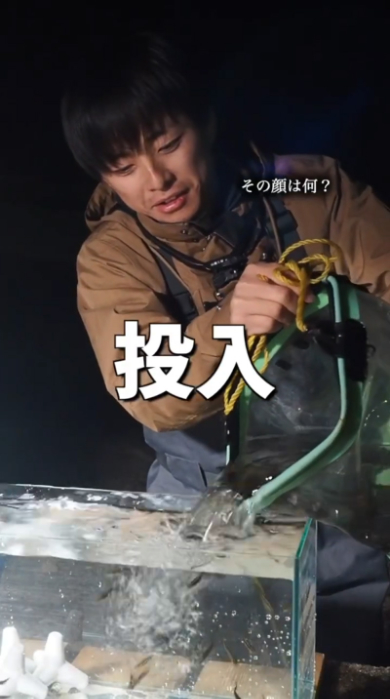 海 危険生物 ゴンズイ 捕獲 水槽 毒 アクアリウム