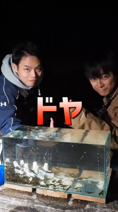 海 危険生物 ゴンズイ 捕獲 水槽 毒 アクアリウム