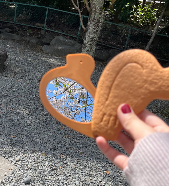 鳩サブレー ミラー 鳩妻鏡