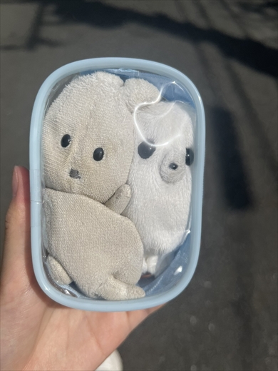 むぎゅっとなったぬいぐるみがかわいい