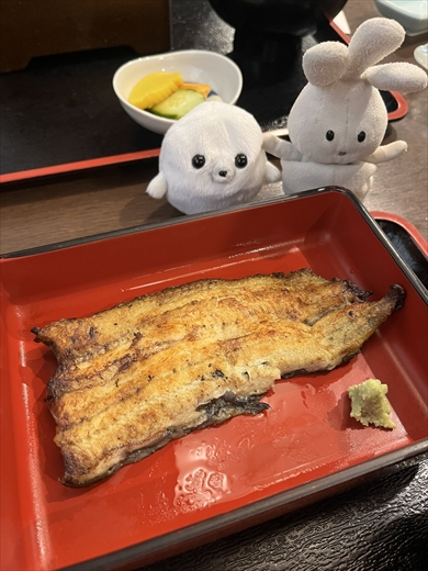 むぎゅっとなったぬいぐるみがかわいい