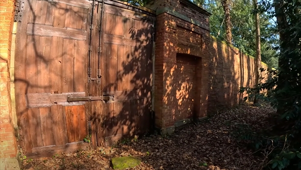 緑の壁を掃除したら全く違う色に