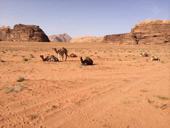 大阪 関西万博 攻略