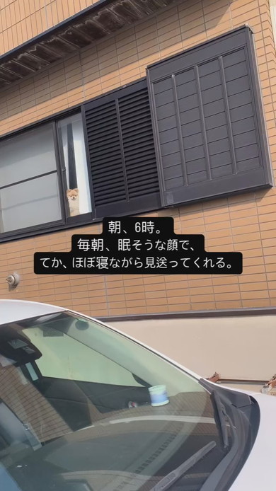 窓際で佇むワンコ