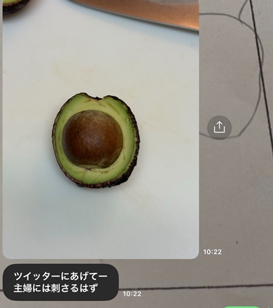 母から送られてきたキモいアボカド
