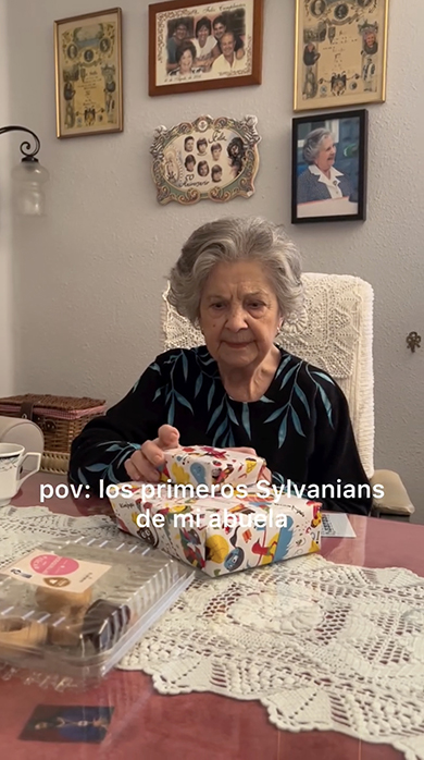 おばあちゃんにシルバニアファミリーをプレゼントしたら