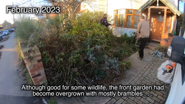 整備する前の庭