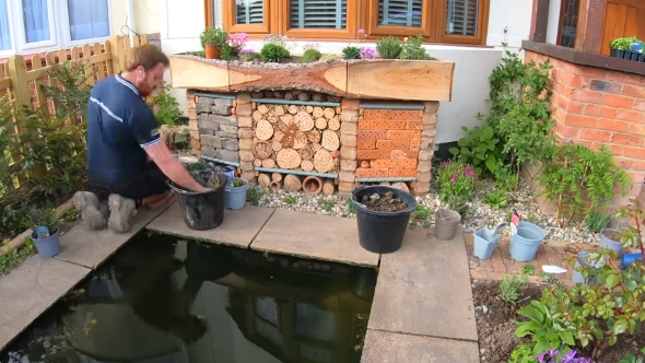 小さな池ができました