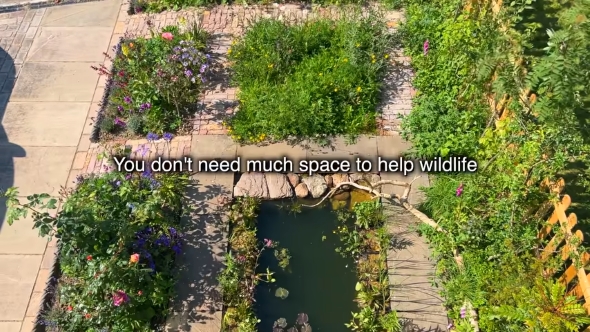 自然豊かな庭の完成図