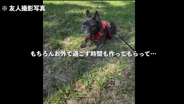 知人に愛犬を預けて週間後