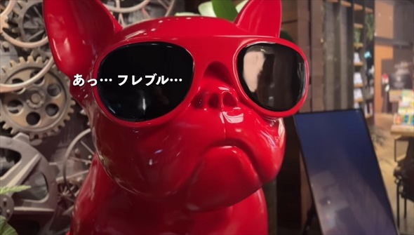 知人に愛犬を預けて週間後