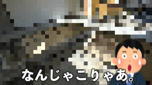 変わった 間取り 築古 物件 魔改造 天井 ぶち抜き 賃貸 DIY 内見