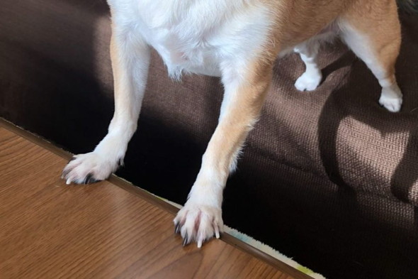 おすすめ