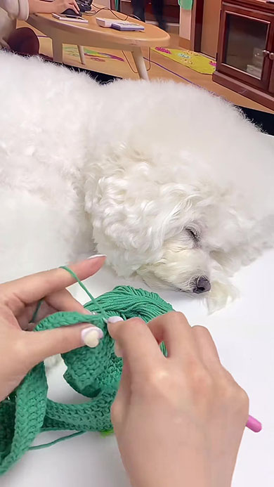 恐竜になる犬用帽子・編み始め