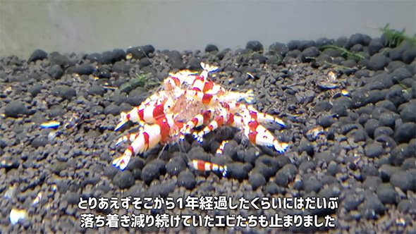 とりあえずそこから