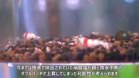 今までは換水で