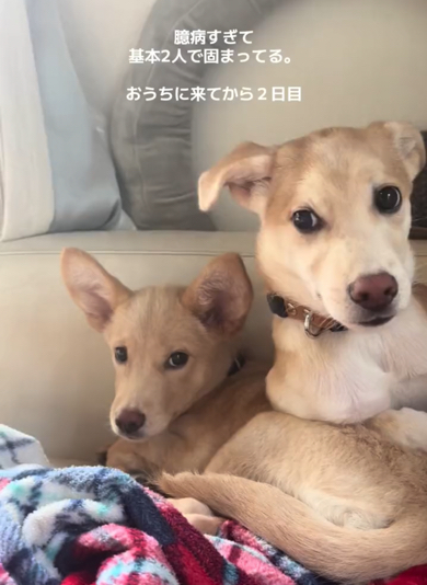 お家にやって来て2日目