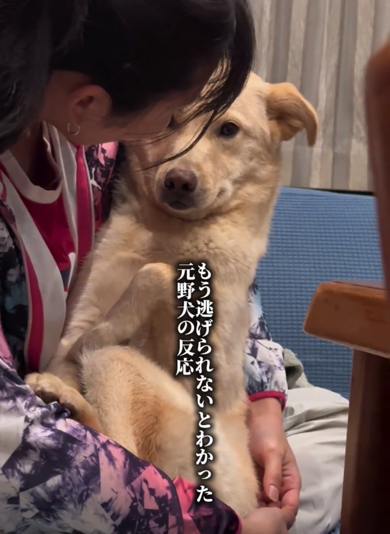 ママさんに抱っこされているくうくん