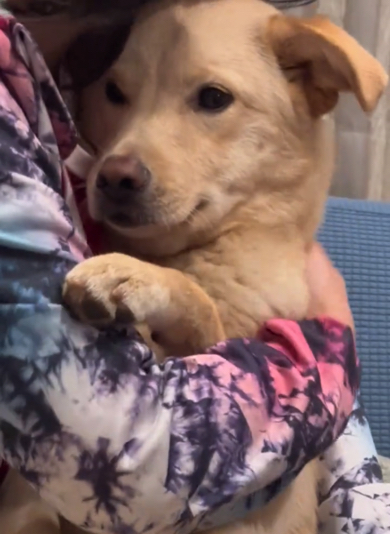 くうくんもママさんに寄り添います