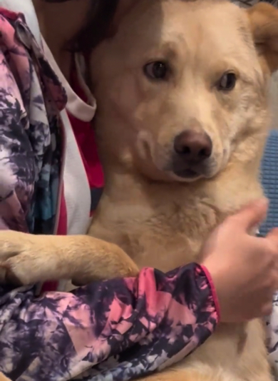 戸惑いつつもうれしそうな表情