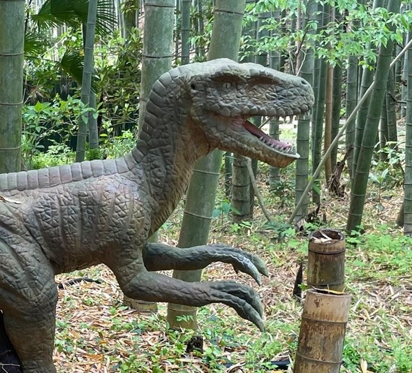 恐竜より強いのはタケノコだった。
