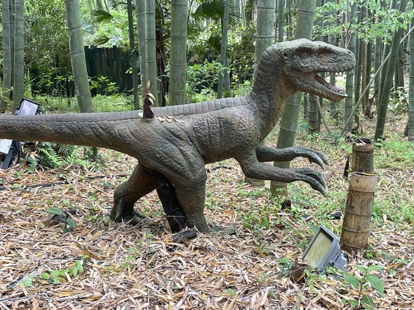 恐竜より強いのはタケノコだった。