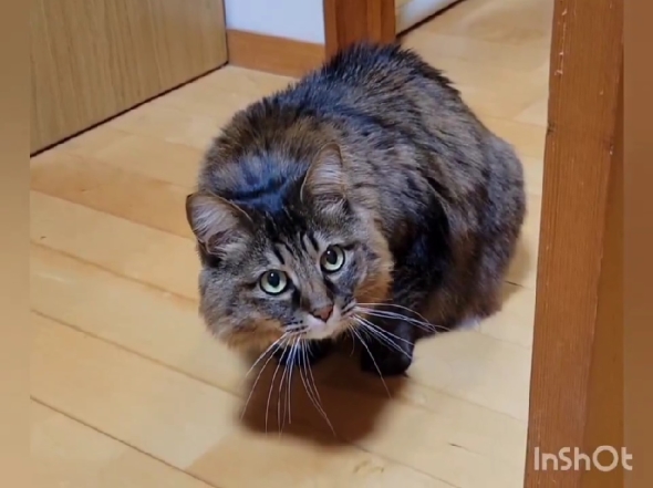 ニトリの振り子時計をリメイク