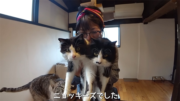 ニョッキーズでした