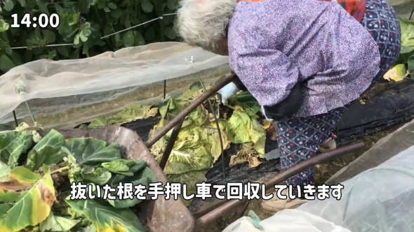 90歳 おばあちゃん 1日 日常 畑仕事 Vlog