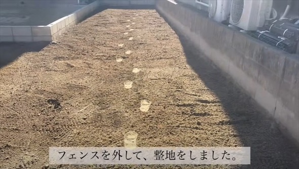 家の横に購入した土地に巨大ウッドフェンスをDIY