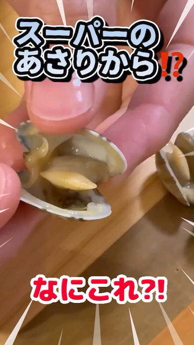アサリの中にカニがいた
